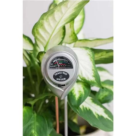 custom soil moisture meter cannabis|moisture content meter for cannabis.